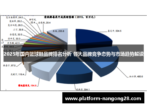 2025年国内篮球鞋品牌排名分析 各大品牌竞争态势与市场趋势解读