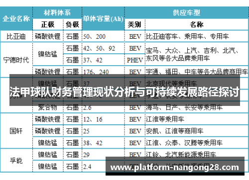 法甲球队财务管理现状分析与可持续发展路径探讨