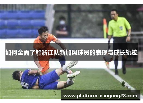 如何全面了解浙江队新加盟球员的表现与成长轨迹