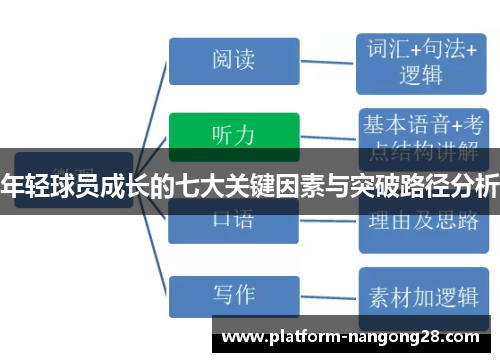 年轻球员成长的七大关键因素与突破路径分析