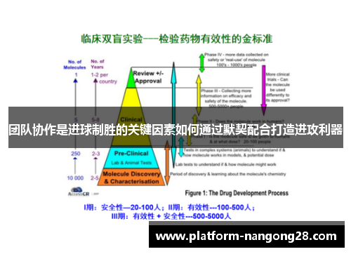 团队协作是进球制胜的关键因素如何通过默契配合打造进攻利器
