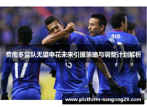 费南多留队无望申花未来引援策略与调整计划解析