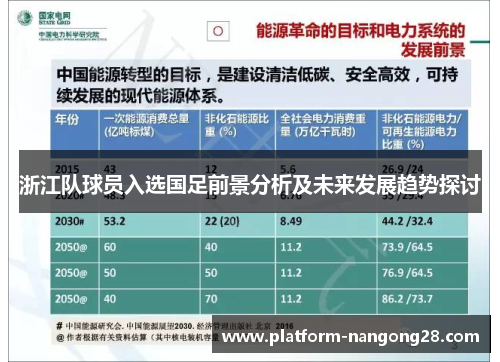 浙江队球员入选国足前景分析及未来发展趋势探讨