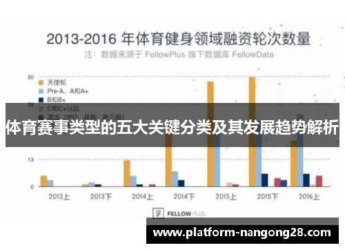 体育赛事类型的五大关键分类及其发展趋势解析