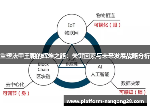 重塑法甲王朝的辉煌之路：关键因素与未来发展战略分析