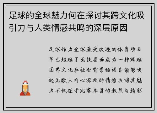 足球的全球魅力何在探讨其跨文化吸引力与人类情感共鸣的深层原因