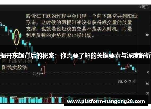 揭开东超背后的秘密：你需要了解的关键要素与深度解析