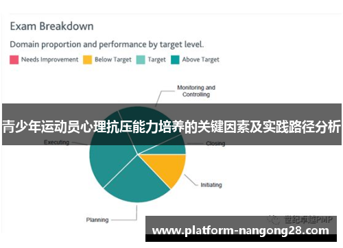 青少年运动员心理抗压能力培养的关键因素及实践路径分析
