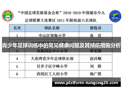 青少年足球训练中的常见健康问题及其预防措施分析